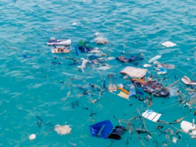 Mikroplastik adalah ancaman tersembunyi bagi perairan. Temukan dampaknya pada organisme laut dan kemampuan penyimpanan karbon.