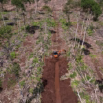 Rawa Tripa memiliki peran krusial dalam pelestarian lingkungan hidup dan penanggulangan bencana di Aceh.