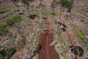 Rawa Tripa terus terdegradasi, aktivis desak negara serius pulihkan gambut