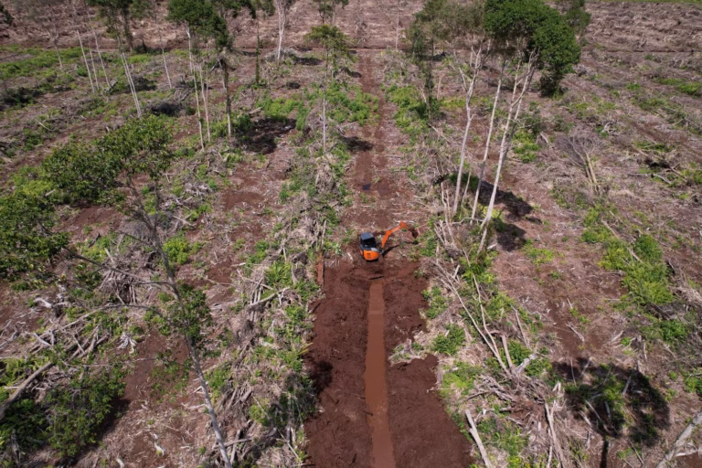 Rawa Tripa terus terdegradasi, aktivis desak negara serius pulihkan gambut
