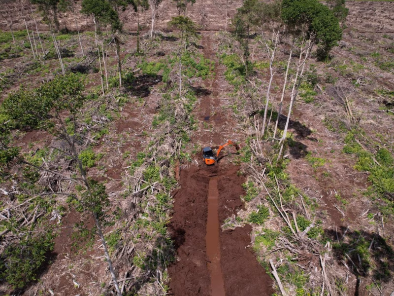 Rawa Tripa memiliki peran krusial dalam pelestarian lingkungan hidup dan penanggulangan bencana di Aceh.