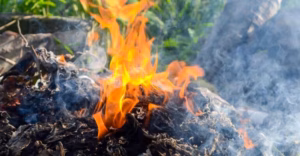 Membakar Plastik jadi Solusi Mudah untuk Menimbulkan Masalah Rumit