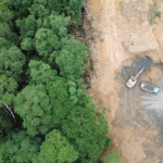 Sumatra’s Forests are Wounded: Restoration Requires More Than Just Permit Revocations