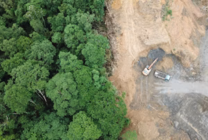 Sumatra’s Forests are Wounded: Restoration Requires More Than Just Permit Revocations