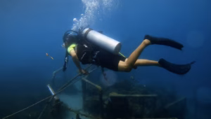 Konservasi Tanpa Arah di Laut Kaya dan Data Terbatas