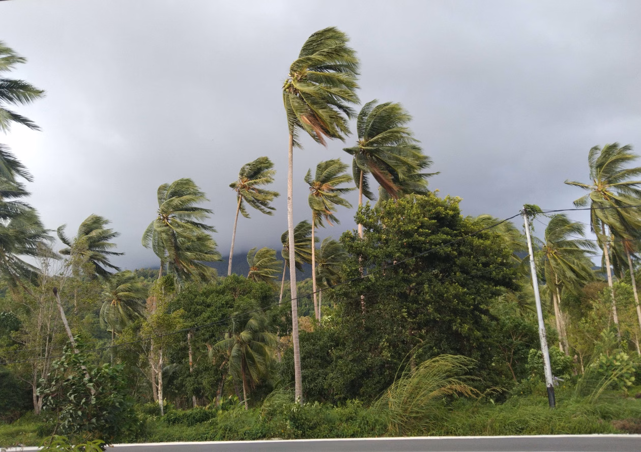 Panas Kian Sesak Sebabkan Kekeringan dan Angin Kencang yang Merusak