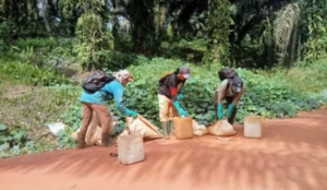 The Impact of Industrial Mining and Palm Oil on Borneo’s Rainforest Communities