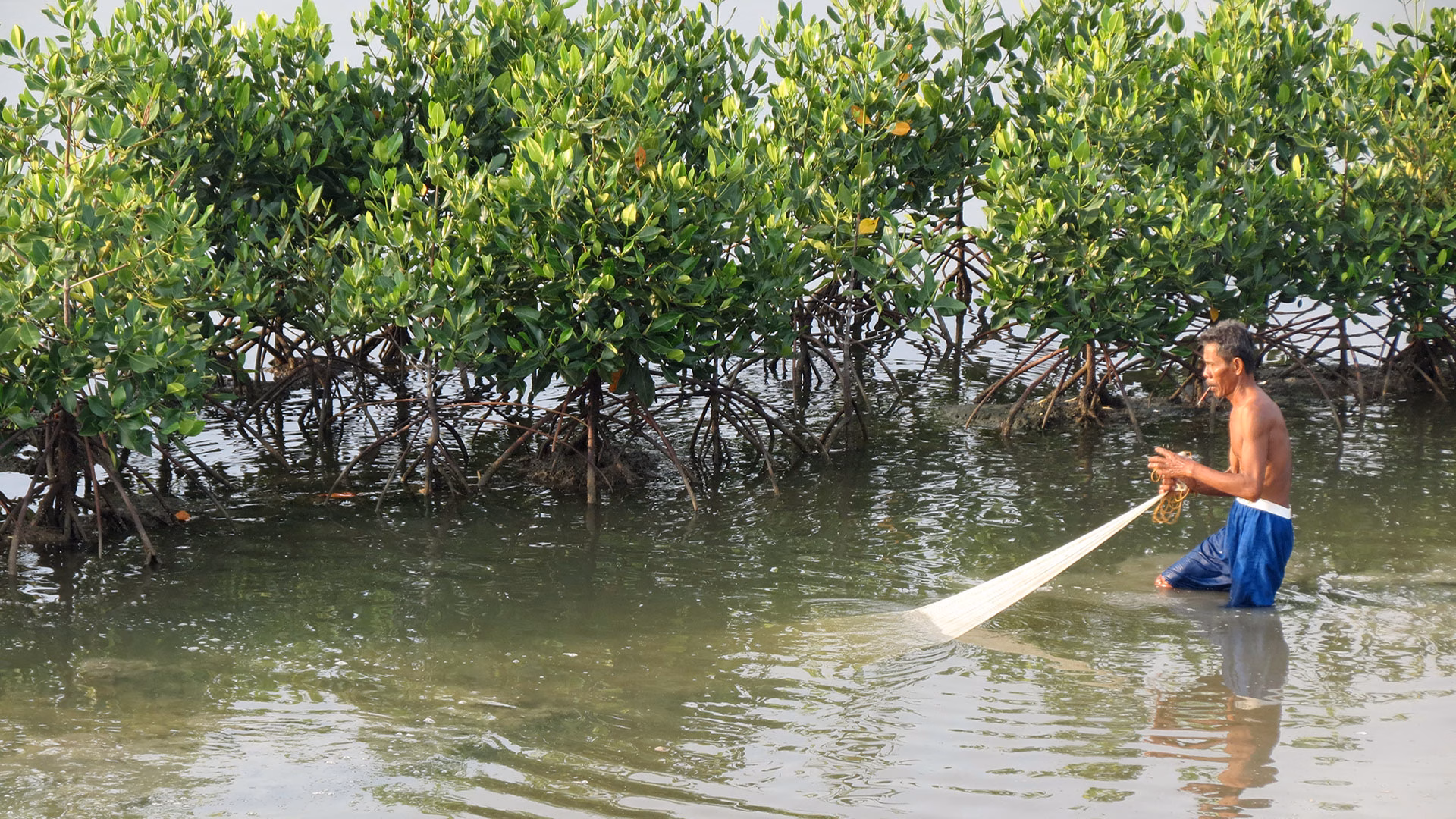 Titik Nadir Lahan Basah, Pemberi Kehidupan Masyarakat Pesisir