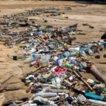 Kolonialisme Sampah Masih Menggurita di Asia Tenggara