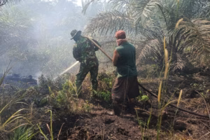 Hukum Tumpul Terus Mengobarkan Api Karhutla di Indonesia