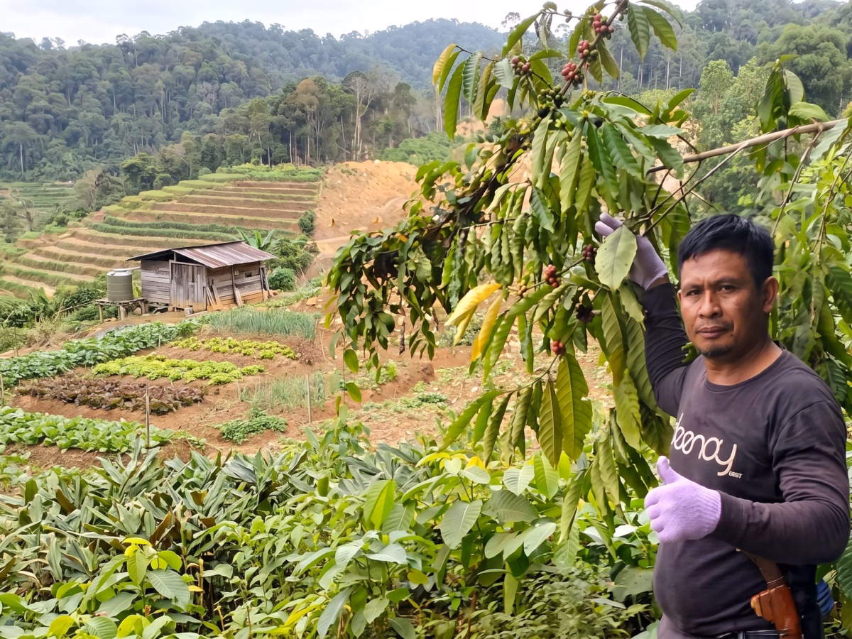 Pertahankan Tanah dari Tambang, Tiga Petani Routa Konawe Ditahan