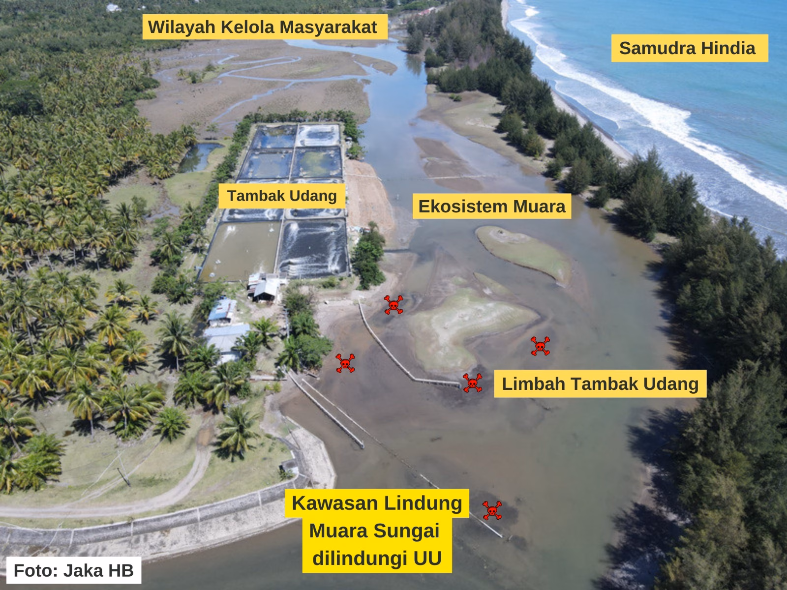 Jerat Maut Tambak Udang Ilegal di Sumbar Kembali Memakan Korban