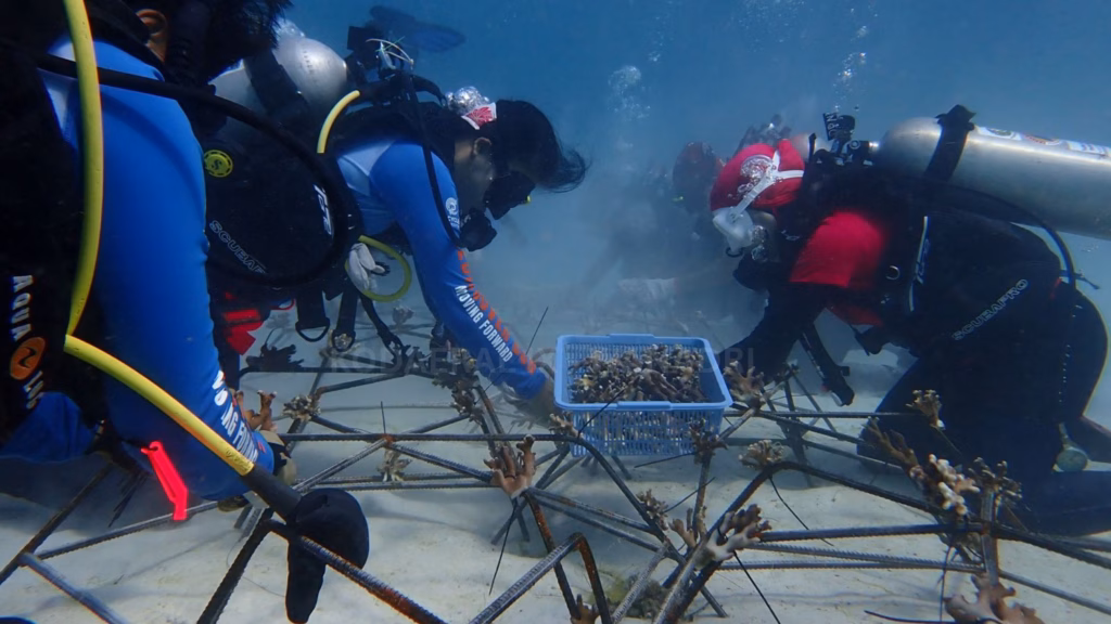Dengan misi "Rediscover Buru: Moving Forward - Coral Restoration and Beyond", ekspedisi selam di Pulau Buru dihelat.