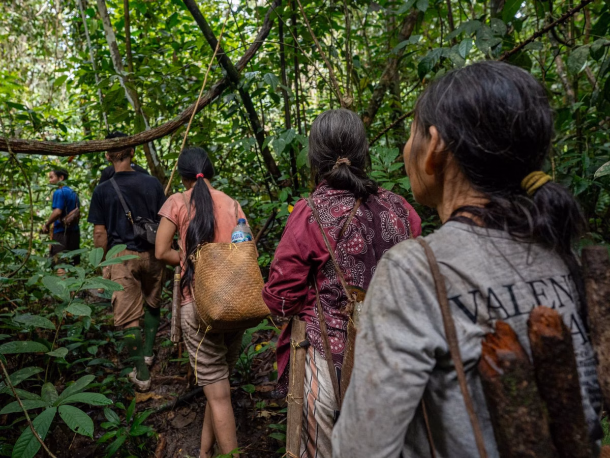 Sekelompok kecil suku Punan Batu melakukan perjalanan melalui hutan untuk mencari makanan (Gambar: Muhibar Sobary Ardan / Dialogue Earth)
