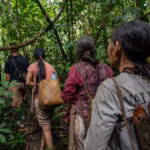 Sekelompok kecil suku Punan Batu melakukan perjalanan melalui hutan untuk mencari makanan (Gambar: Muhibar Sobary Ardan / Dialogue Earth)