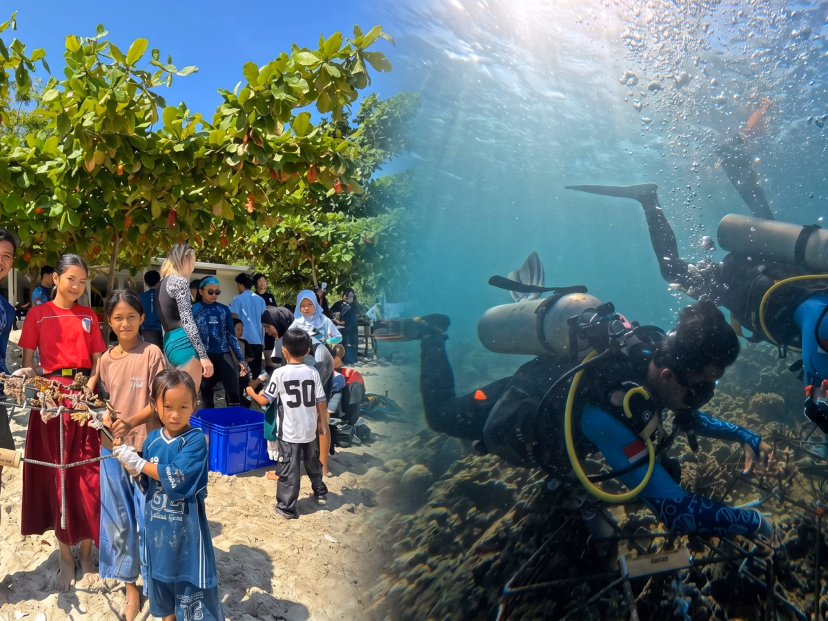 Menghidupkan Kembali Terumbu Karang di Teluk Ekas