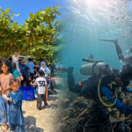 Menghidupkan Kembali Terumbu Karang di Teluk Ekas