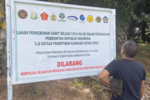 Rencana PT Agrinas Buka 400 Ribu Hektare Kebun Sawit Baru Semakin Menekan Hutan Papua