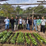 BRIN dan BATARA Kembangkan Bioenergi Malapari di Lembata NTT