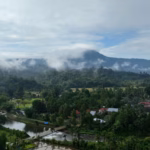 Inisiatif karbon berbasis masyarakat di Rimba Bujang Raba masuk jalur resmi mekanisme pasar karbon nasional.