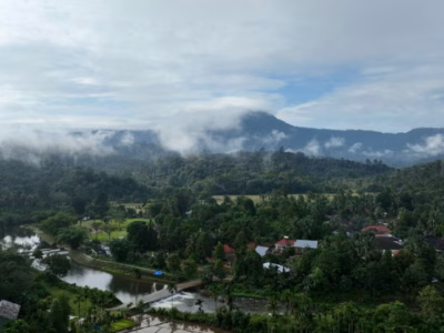 Inisiatif karbon berbasis masyarakat di Rimba Bujang Raba masuk jalur resmi mekanisme pasar karbon nasional.