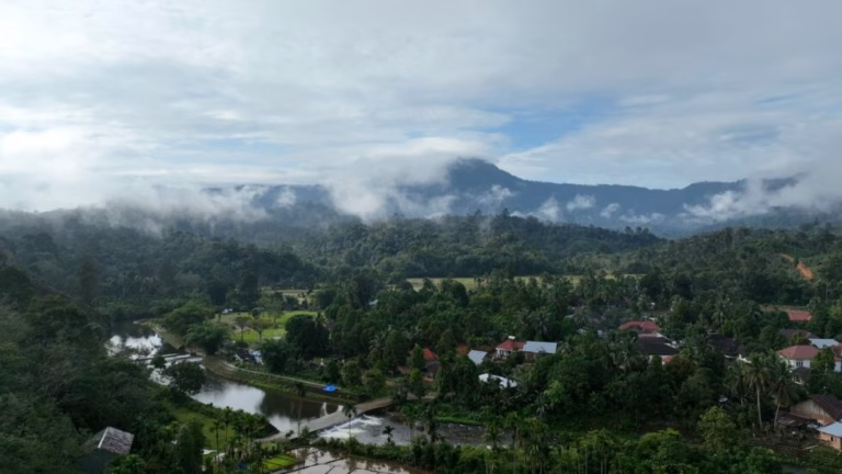 Inisiatif karbon berbasis masyarakat di Rimba Bujang Raba masuk jalur resmi mekanisme pasar karbon nasional.