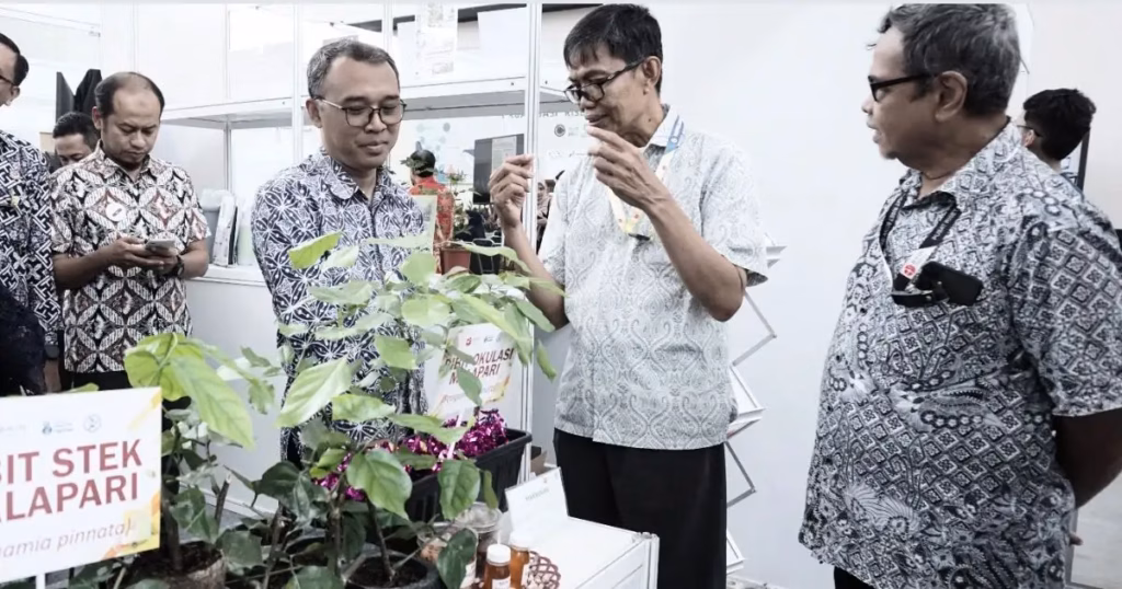 Dari Lahan Kritis ke Energi Bersih, BRIN Ungkap Potensi Besar Malapari