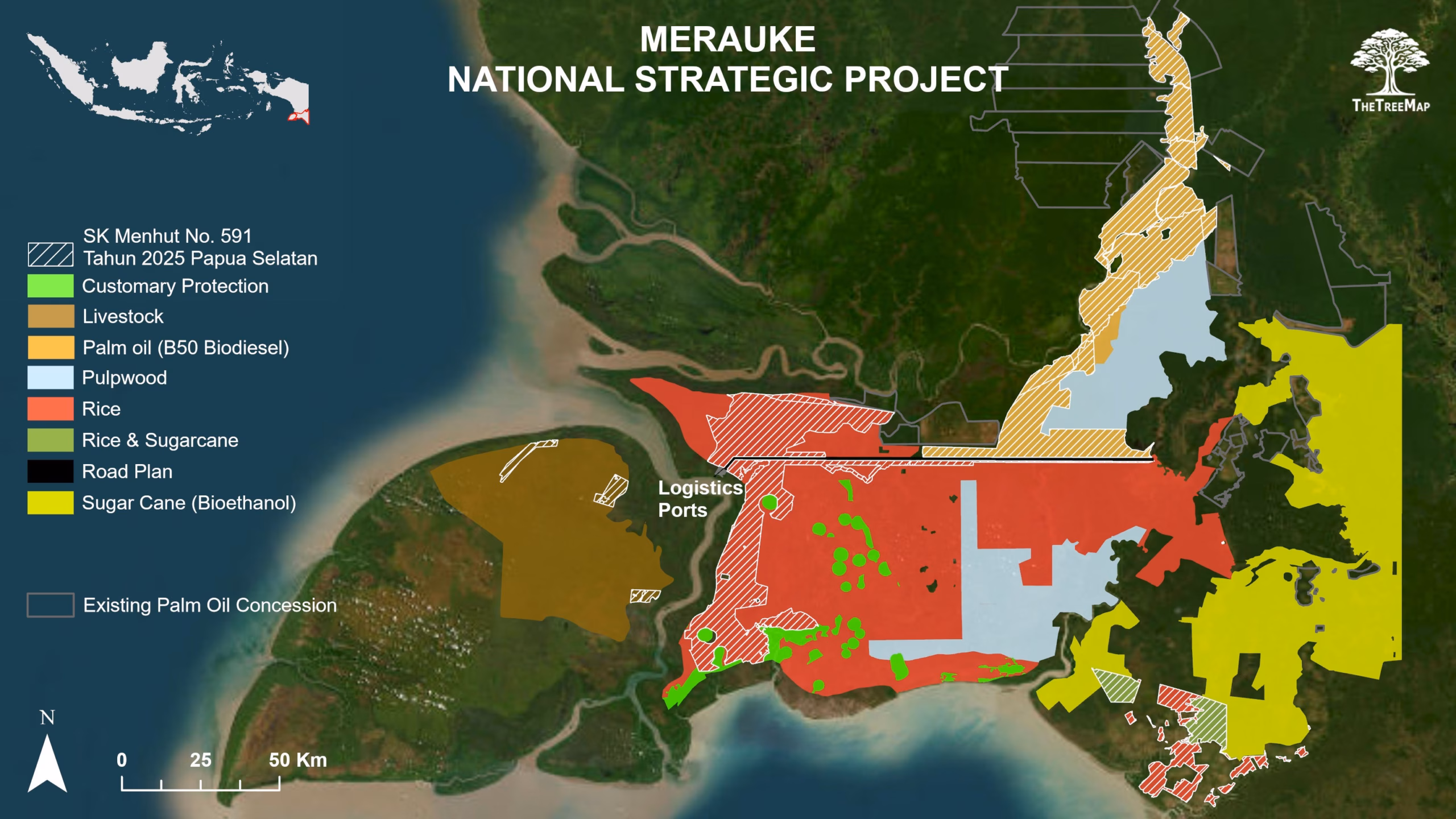 Melihat Hilangnya Hutan di PSN Merauke lewat Teropong Satelit