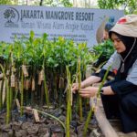 Mangrove menjadi salah satu ekosistem penting yang dapat membantu memperkuat ketahanan pesisir.