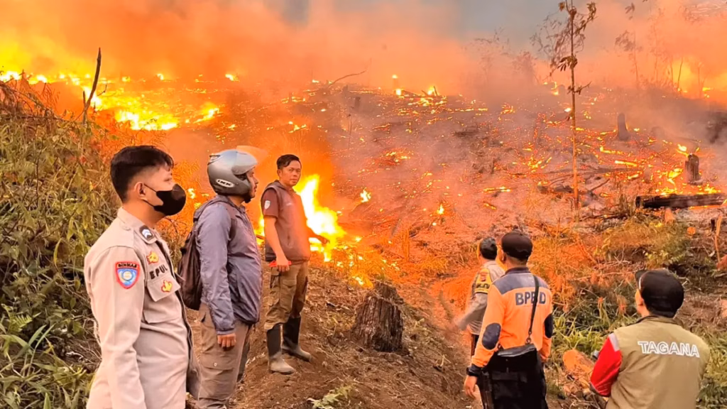 Hingga Agustus 2026, Kabupaten Sukabumi tercatat sebagai wilayah dengan area terdampak Kebakaran Hutan dan Lahan terluas di Jawa Barat.