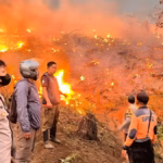 Hingga Agustus 2026, Kabupaten Sukabumi tercatat sebagai wilayah dengan area terdampak Kebakaran Hutan dan Lahan terluas di Jawa Barat.