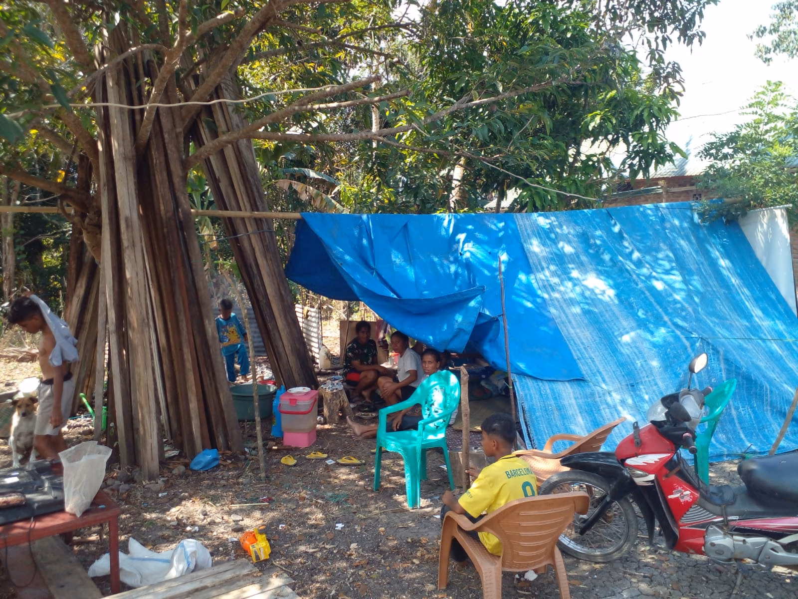 Masyarakat Adat NTT Menanti Bantuan Darurat di Bawah Terpal Pengungsian
