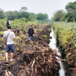 Ikhtiar membuat gambut di Kalimantan Barat kembali basah, hijau, dan terbebas dari kepungan asap kebakaran hutan dan lahan.