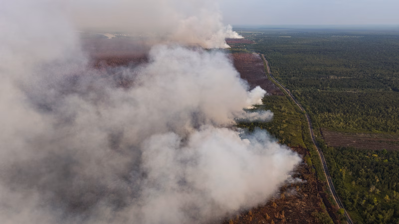 Lebih dari 37,9 juta jiwa di Indonesia kini terkurung dalam krisis mematikan akibat kebakaran hutan dan lahan gambut (karhutla).