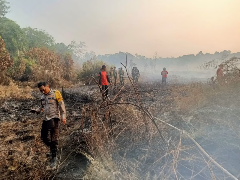 Hingga penghujung Agustus, laju api telah melahap tak kurang dari 15 hektare lahan gambut di Desa Medan Mas, Kubu Raya, Kalimantan Barat.