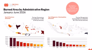 How the Savannas of Nusa Tenggara Became Indonesia’s New Epicenter for Land Fires