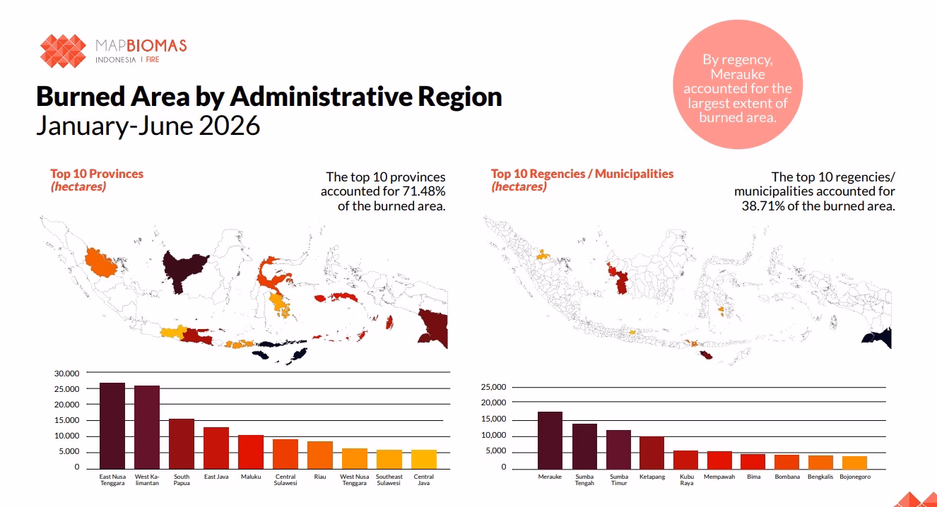 How the Savannas of Nusa Tenggara Became Indonesia's New Epicenter for Land Fires 1