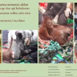 Karhutla di Kalimantan sejatinya bukan hanya memakan korban manusia, tetapi juga memanggang kekayaan keanekaragaman hayati tanpa ampun