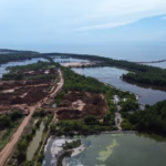 Dua desa terapung Torokeku dan Bungin Permai dikenal sebagai “Desa Dolar” karena rumput lautnya kini terpuruk akibat cemaran tambang nikel.