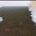 Taman Nasional Tanjung Puting di Kalimantan Tengah, rumah primata ikonik orangutan Kalimantan (Pongo pygmaeus) terbakar