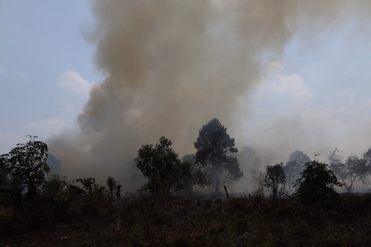 Diplomasi Basa-Basi Penanganan Kabut Asap dan Kebakaran Hutan Indonesia