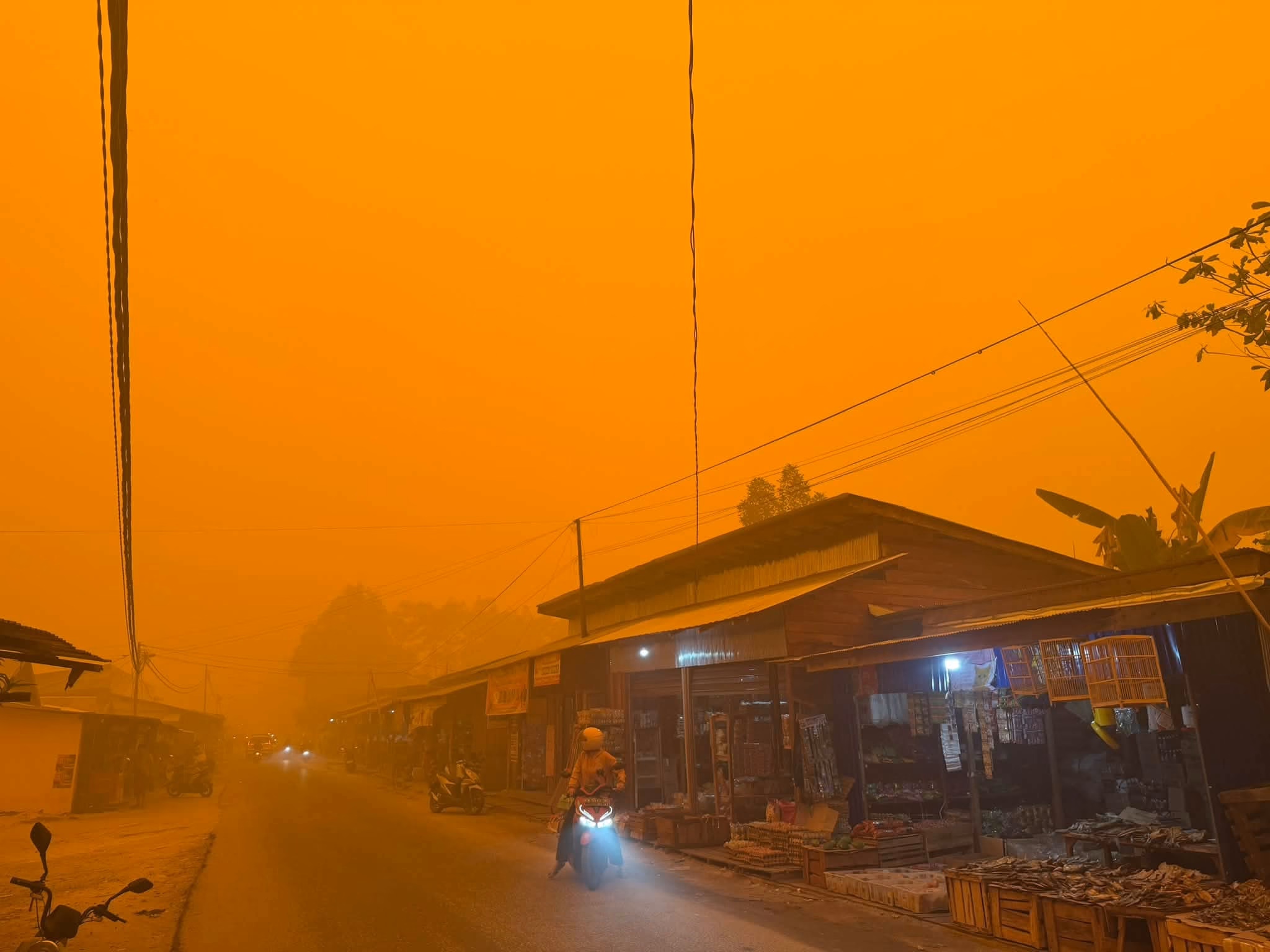 Kalimantan Tengah jadi Wilayah Paling Membara Sepanjang Tahun 2026
